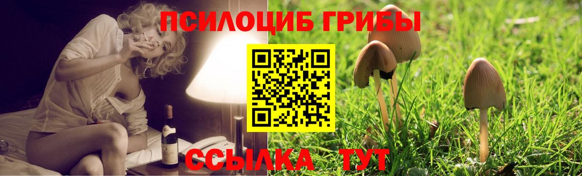 Галлюциногенные грибы Cubensis  Галлюциногенные грибы прущие грибы  Вход с VPN  Улан-Удэ 